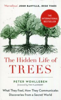 The Hidden Life of Trees: What They Feel, How They Communicate